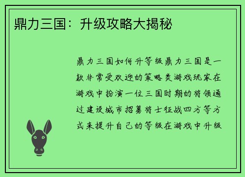 鼎力三国：升级攻略大揭秘